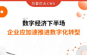 數(shù)字經(jīng)濟(jì)下半場(chǎng)，企業(yè)應(yīng)加速推進(jìn)數(shù)字化轉(zhuǎn)型