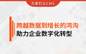 跨越數(shù)據(jù)到增長的鴻溝，助力企業(yè)數(shù)字化轉(zhuǎn)型